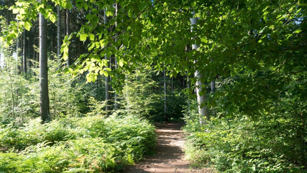 Itm Hotel Bettkaestchen Am Sachsenwald راينبك المظهر الخارجي الصورة