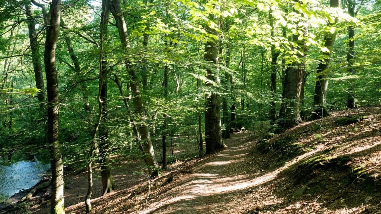 Itm Hotel Bettkaestchen Am Sachsenwald راينبك المظهر الخارجي الصورة